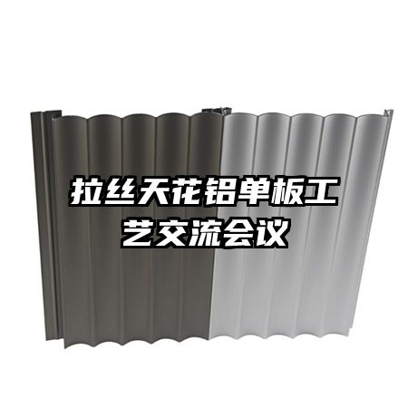 拉絲天花鋁單板工藝交流會(huì)議