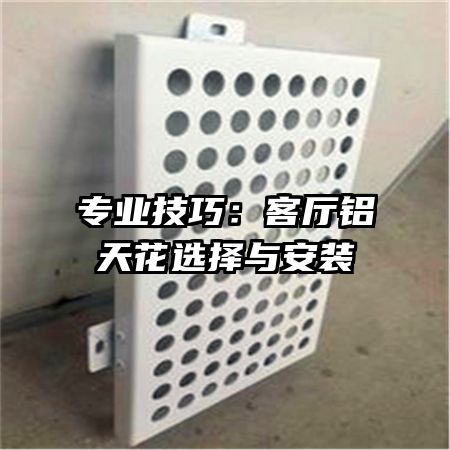 專業(yè)技巧:客廳鋁天花選擇與安裝
