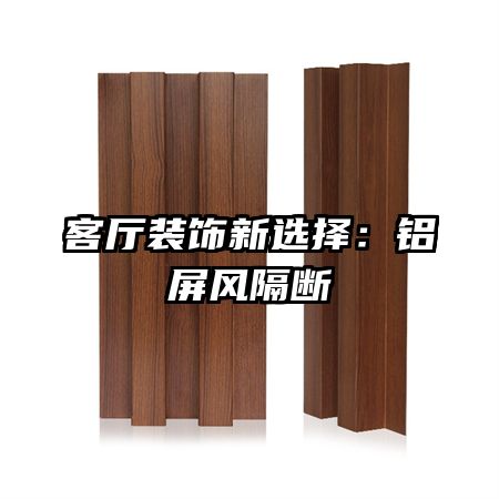 客廳裝飾新選擇：鋁屏風隔斷